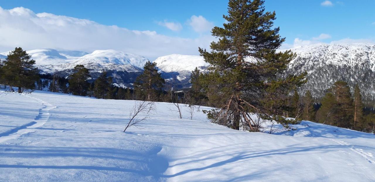 Stalheim Fjord Og Fjellhytter Екстериор снимка