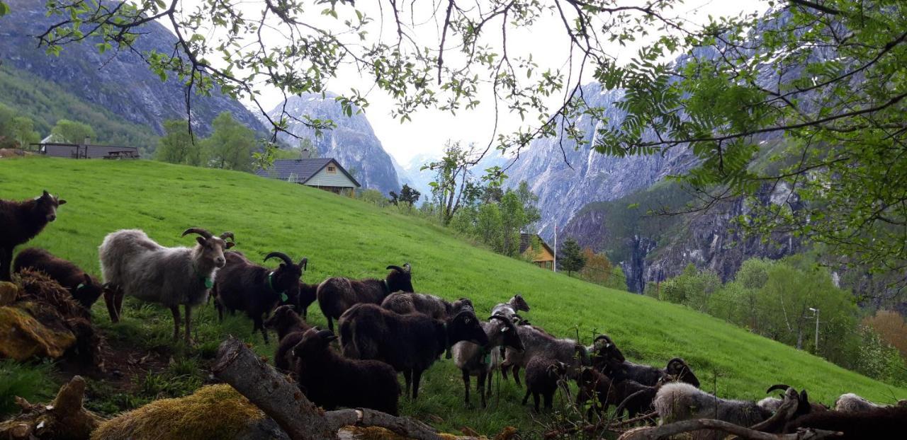 Stalheim Fjord Og Fjellhytter Екстериор снимка